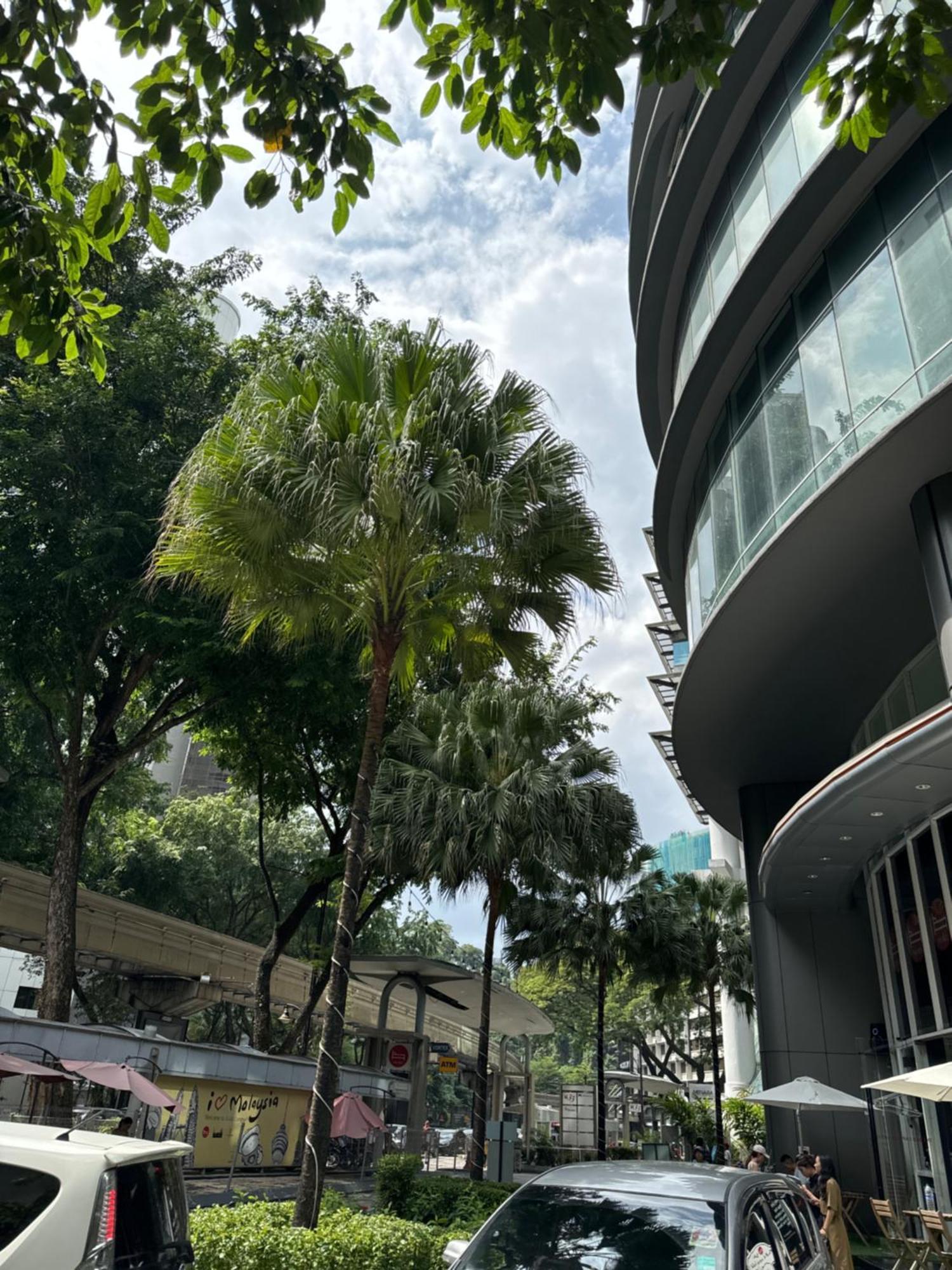 Vortex Suites Klcc 2Bedroom & 3Bedroom Apartment Kuala Lumpur Exteriör bild